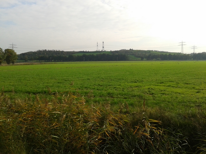 Weiland vlakbij golfheuvel tussen Eindhoven«»Helmond